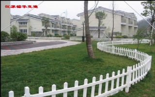 ��ƺ����ϵ��